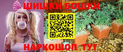 сатива Кунгур