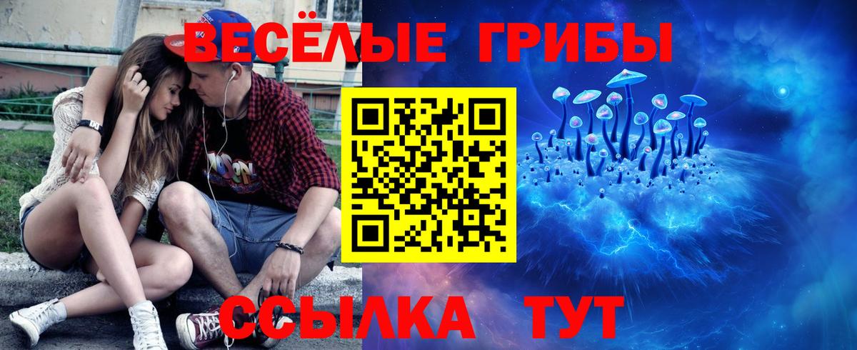 Балашов  Псилоцибиновые грибы прущие грибы  Вход с VPN  Галлюциногенные грибы GOLDEN TEACHER 