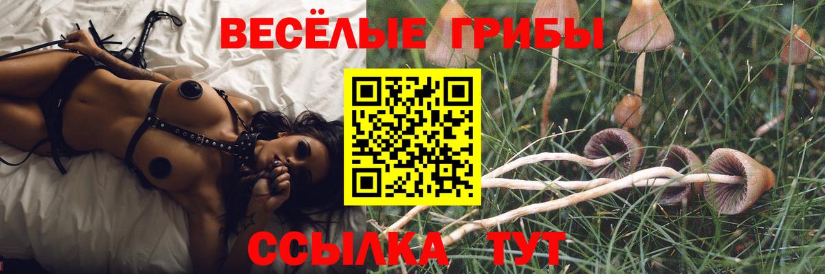 Галлюциногенные грибы Magic Shrooms Балашов
