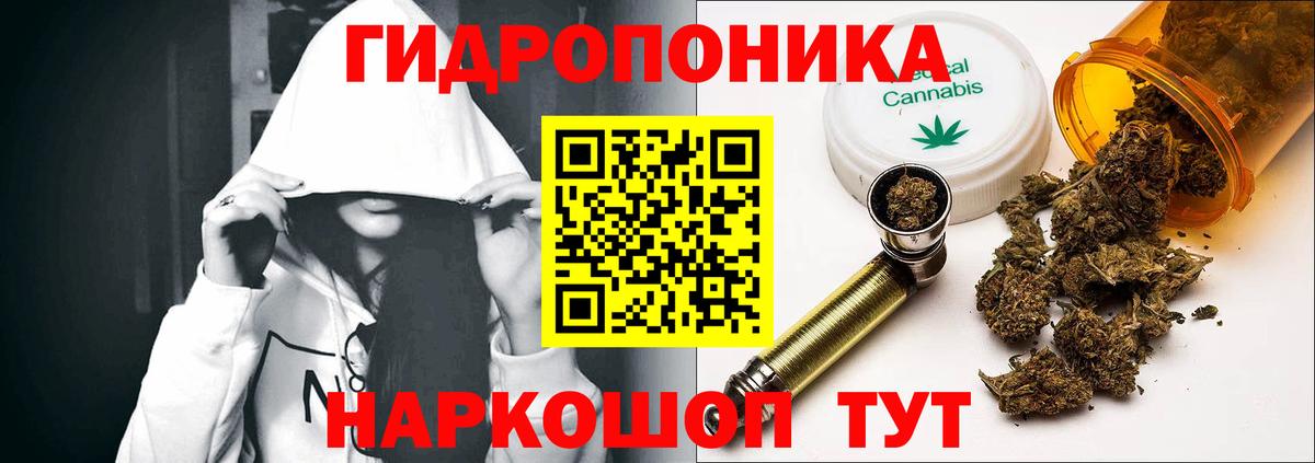 Каннабис план  Конопля Bruce Banner  Вход с VPN  Каннабис Bruce Banner  Балашов 